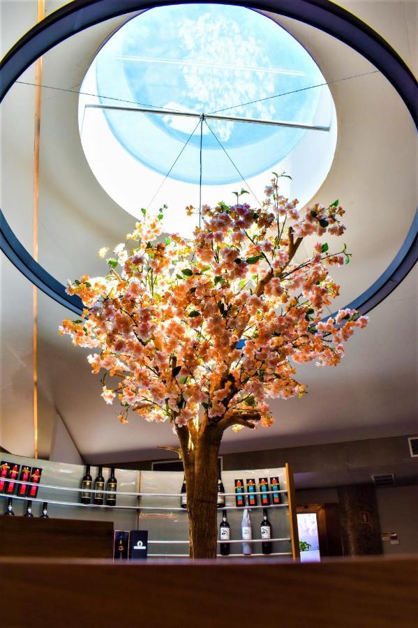 Paraiso Villas & Spa 吉马良斯 外观 照片